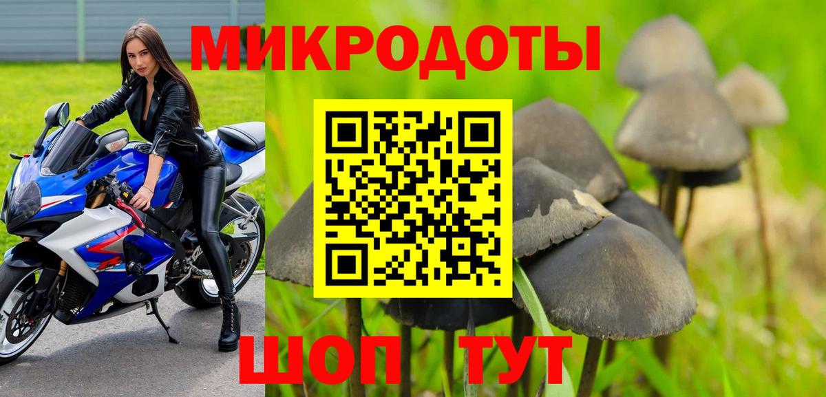 Галлюциногенные грибы мицелий Кинешма